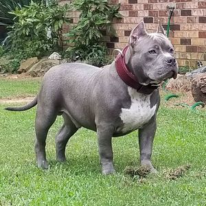 Meet your Posher, Justin